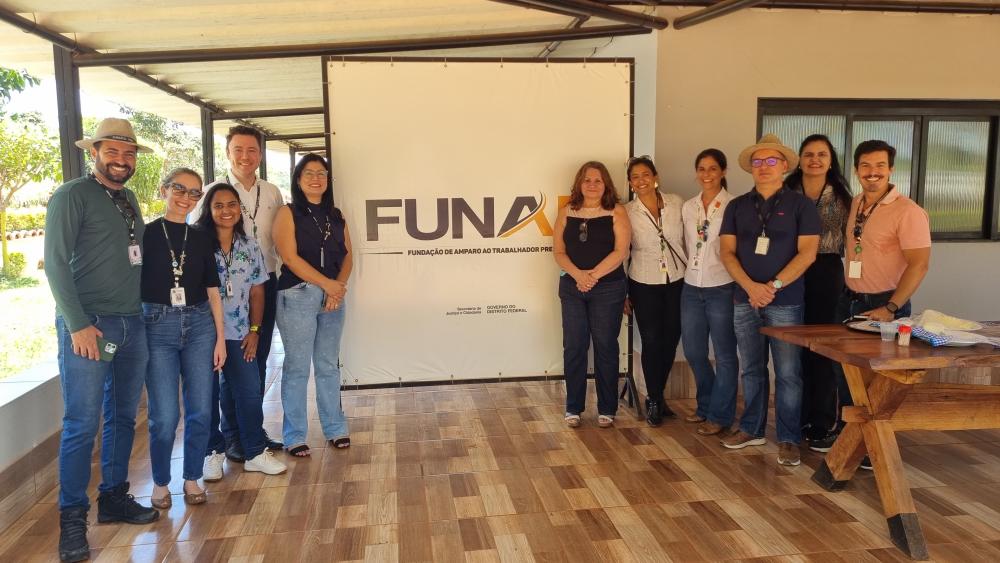 Capa da notícia: Cultivo na Fazenda Modelo Funap viabiliza produção de mais de 50 mil fitoterápicos